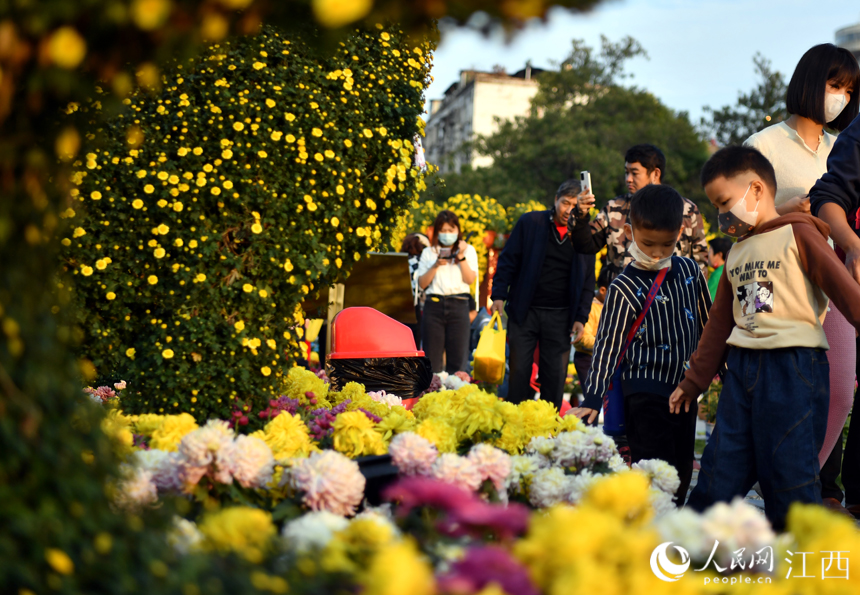 市民和游客在菊花展觀賞菊花。 人民網 時雨攝