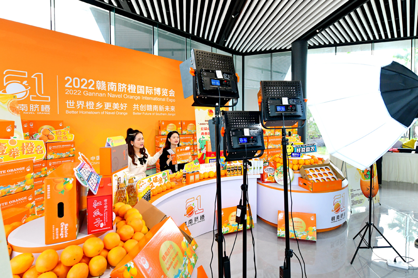 青年助農直播團隊在網絡平臺幫助果農銷售贛南臍橙。朱海鵬攝