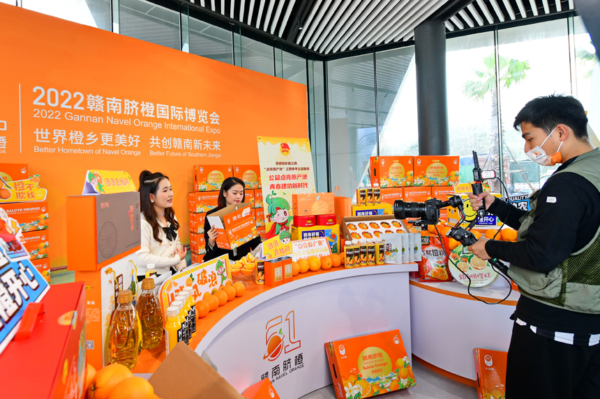 青年助農直播團隊在網絡平臺幫助果農銷售贛南臍橙。朱海鵬攝