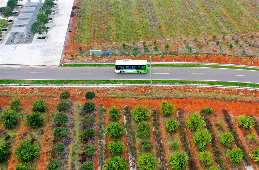城鄉公交車行駛在吳城鄉的鄉間道路上。周亮攝