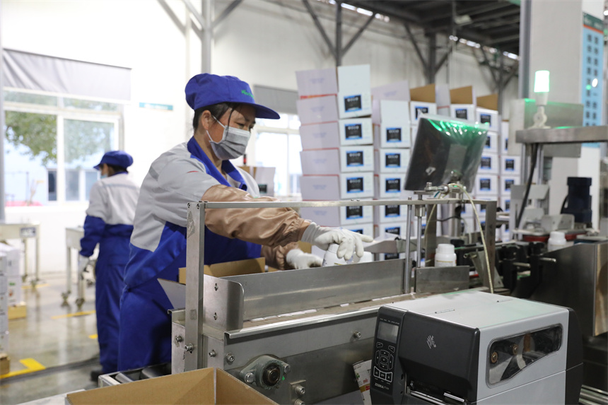 企業積極抓生產、保訂單。袁昕攝