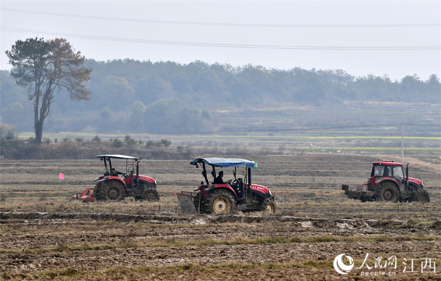 在江西省豐城市的農田里，“鐵?！贝┧?，為春播做好準備。 人民網 時雨攝
