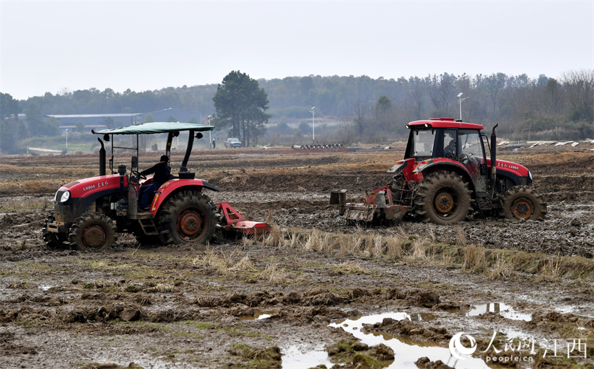 在江西省豐城市的農田里，“鐵?！贝┧?，為春播做好準備。 人民網 時雨攝