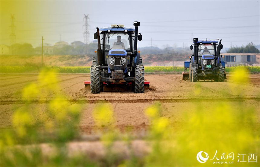 在江西省豐城市的農田里，“鐵?！贝┧?，為春播做好準備。 人民網 時雨攝