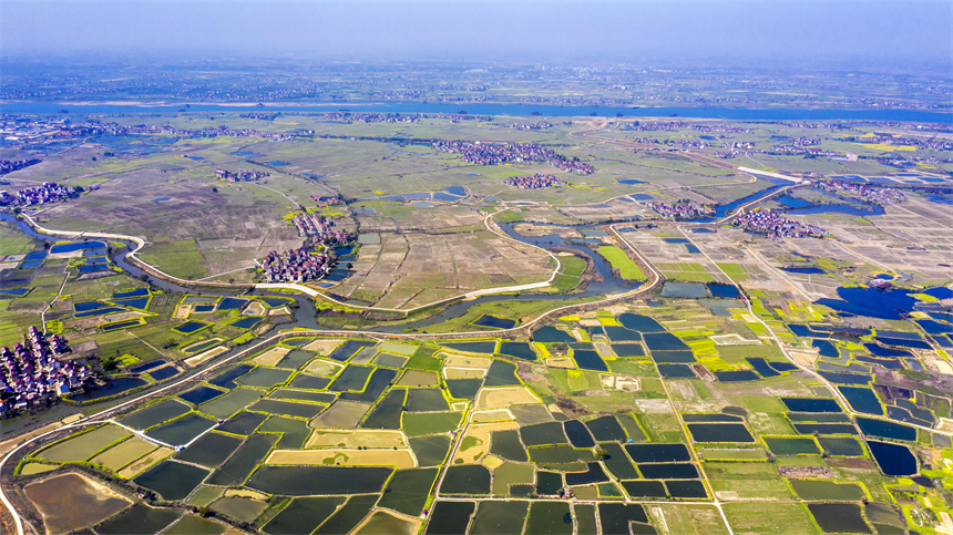 縱橫交錯的魚塘與油菜花、村舍、河流交相輝映，美不勝收。周亮攝