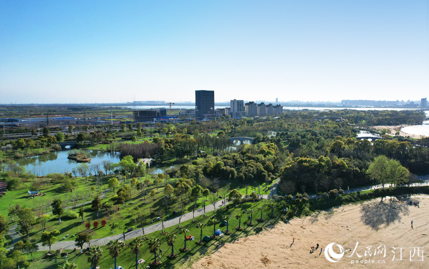 航拍江西省南昌市瑤湖森林公園綠意盎然。人民網 毛思遠攝