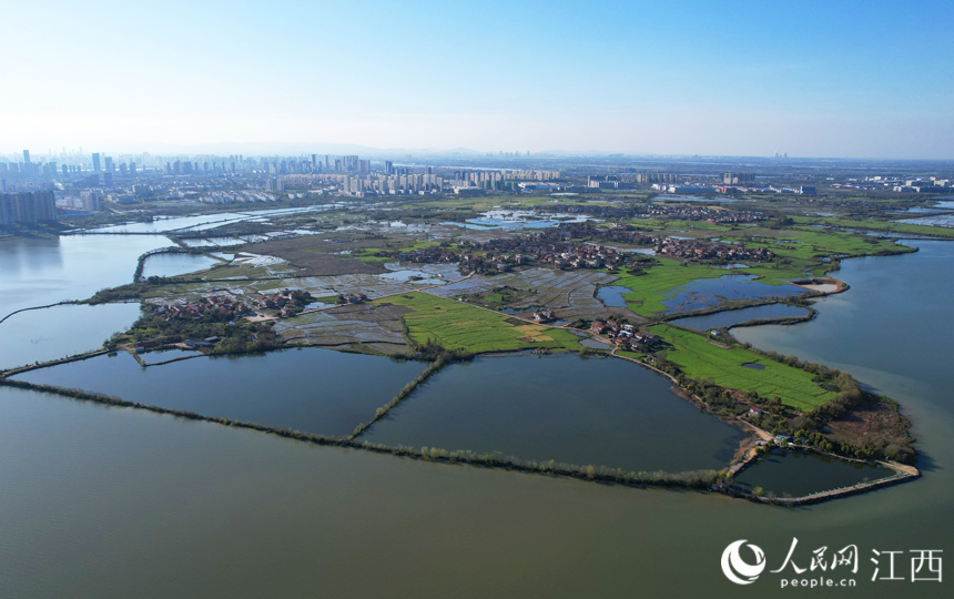 從空中俯瞰，田埂、湖水和遠處城市勾勒出一幅美麗的春色畫卷。人民網 毛思遠攝