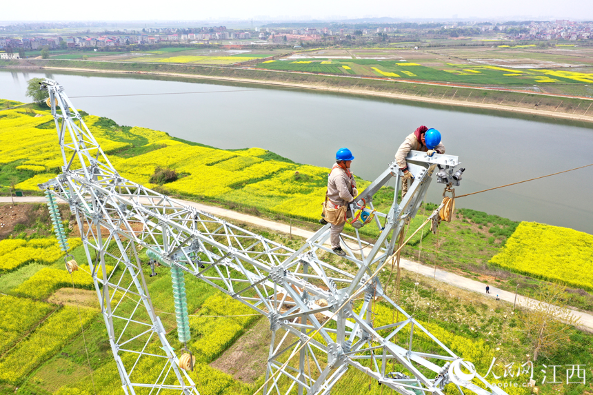 電網工作人員正在塔頂進行牽線作業。人民網 時雨攝