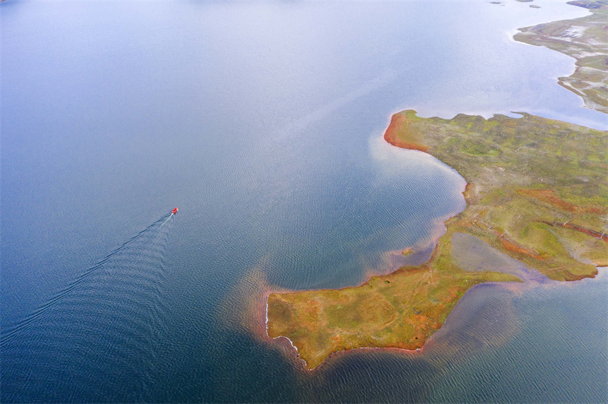 工作人員乘坐快艇在水面上巡查猶如船在畫中行。周亮攝