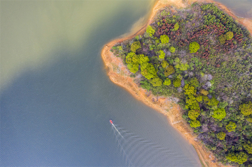 工作人員乘坐快艇在水面上巡查猶如船在畫中行。周亮攝