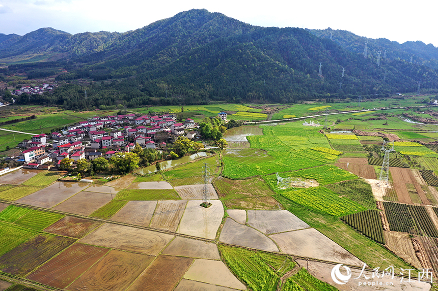 待春播的水田在陽光下波光粼粼。 人民網 時雨攝