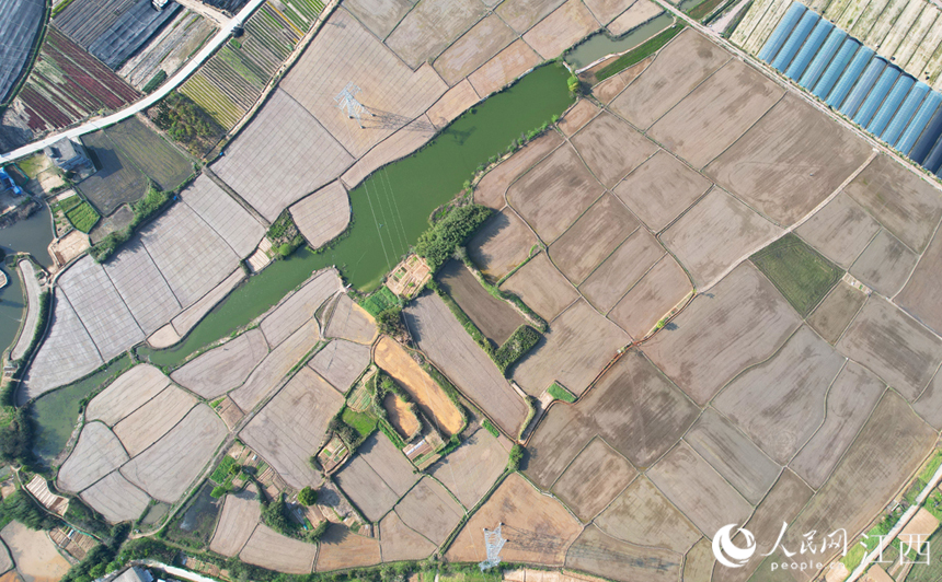 阡陌縱橫、黃綠相間，猶如一個巨大的調色盤，在陽光的映襯下，色彩斑斕。人民網 毛思遠攝