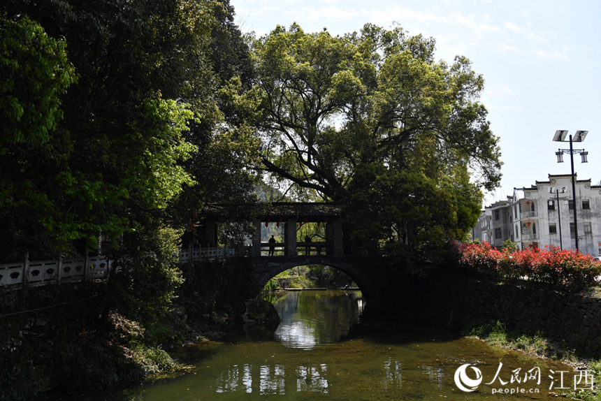 江西省景德鎮市浮梁縣江村鄉嚴臺村風貌。 人民網 時雨攝