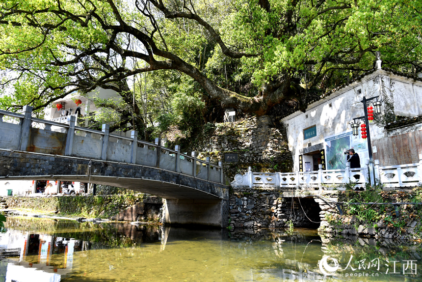 江西省景德鎮市浮梁縣江村鄉嚴臺村風貌。 人民網 時雨攝