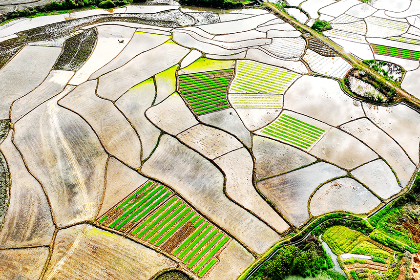 航拍下的江西省撫州市廣昌縣頭陂鎮山下村。曾恒貴攝
