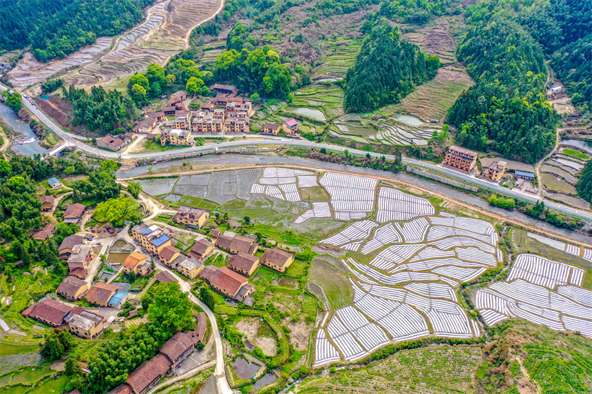 航拍樂安縣谷崗鄉何坑村，猶如一幅美麗的生態畫卷。黃煜攝