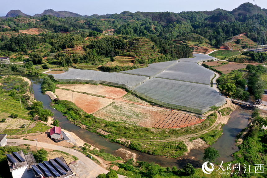 江西省南豐縣三溪鄉柏蒼村軍峰山下的田園綜合體風光優美。 人民網 時雨攝
