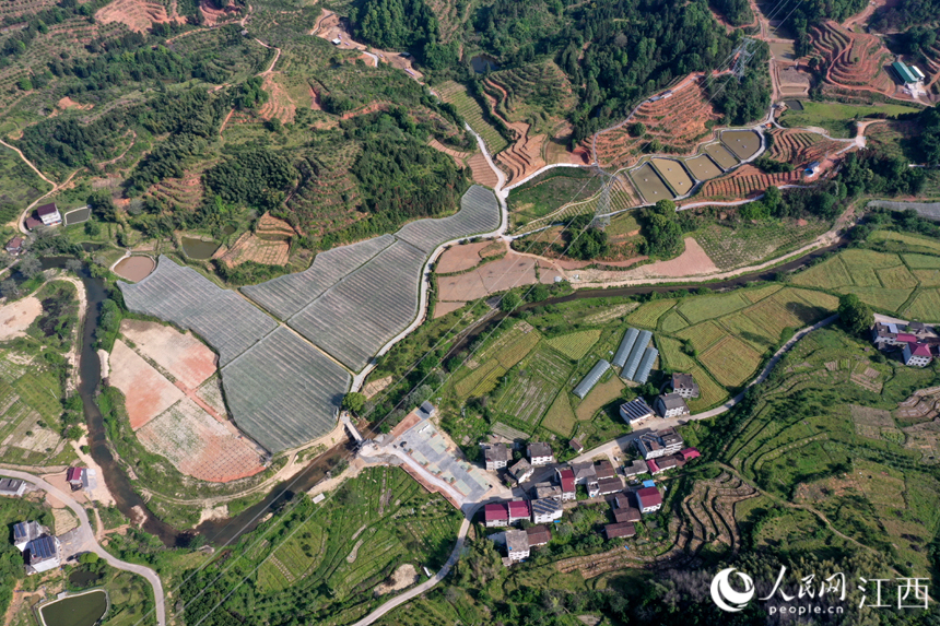 江西省南豐縣三溪鄉柏蒼村軍峰山下的田園綜合體風光優美。 人民網 時雨攝