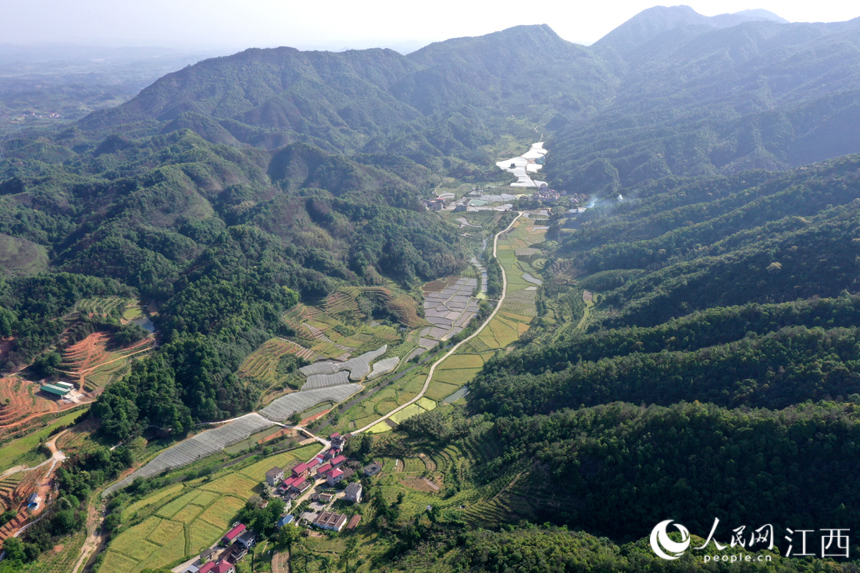 江西省南豐縣三溪鄉柏蒼村軍峰山下的田園綜合體風光優美。 人民網 時雨攝
