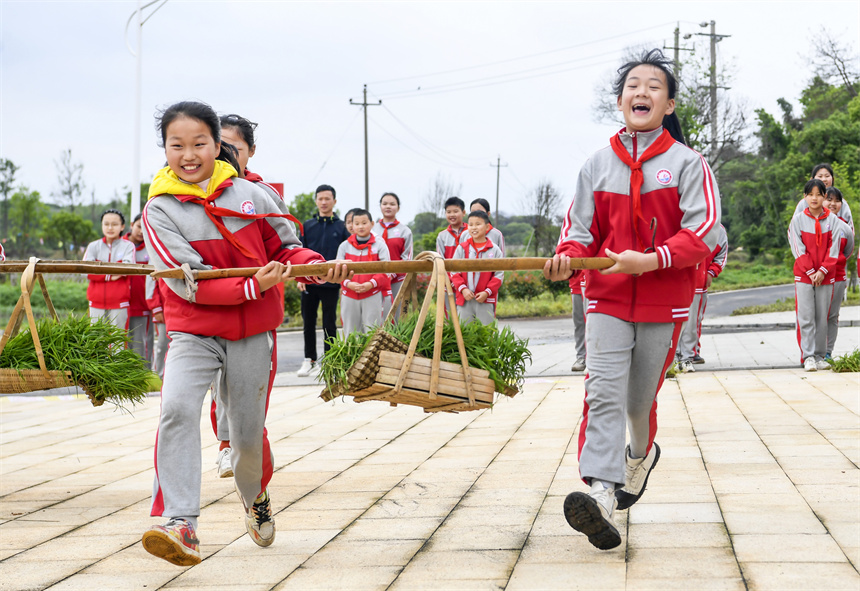 學生在開展農耕趣味賽活動。周亮攝