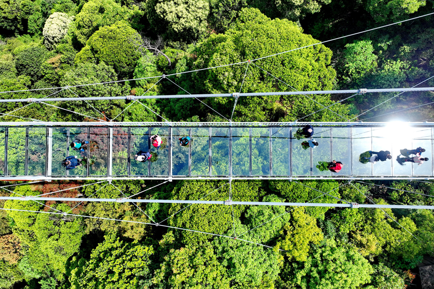 游客行走在玻璃橋上觀賞漫山綠色生態美景。朱海鵬攝