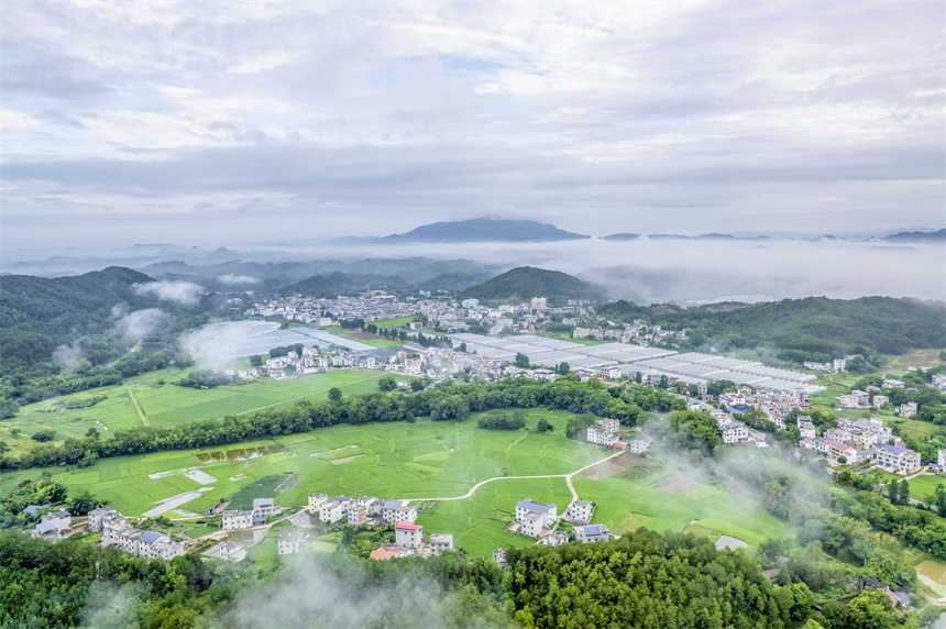 空中似煙似紗的薄霧與縱橫交錯的農田、村莊、河流、山林相映成趣，構成一幅產業興、鄉村美、農民富的秀美畫卷。張元兵攝