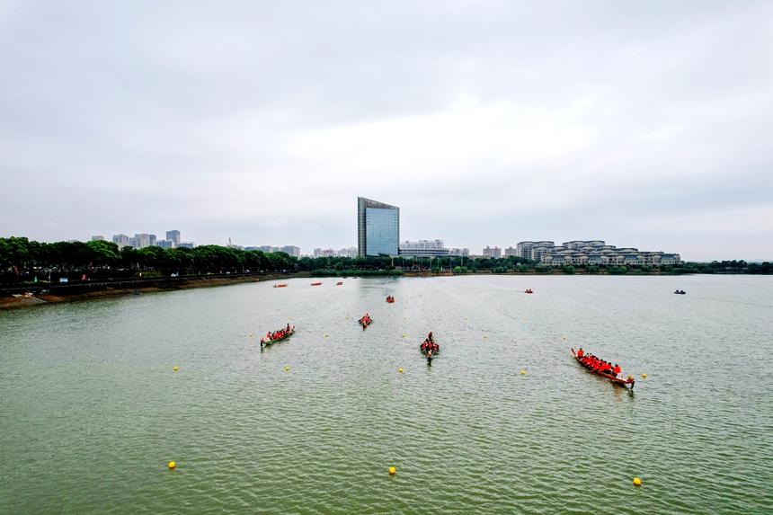 ?龍舟隊在水面競渡。宋燕燕攝?