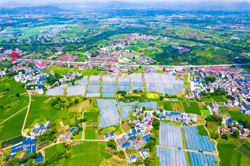 航拍葉坪鎮山歧村美麗鄉村景色。楊鑫攝