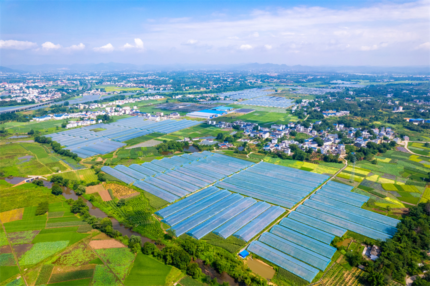 航拍葉坪鎮山歧村美麗鄉村景色。楊鑫攝