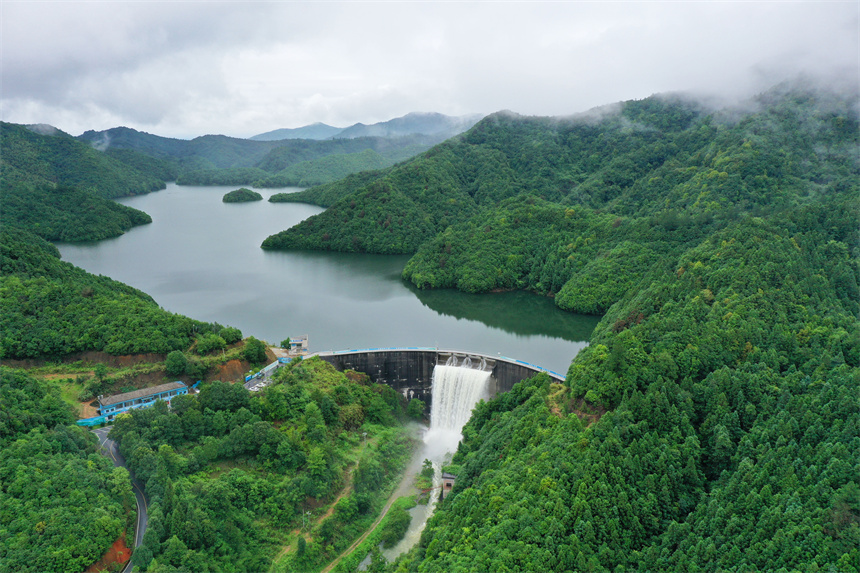 樂安縣龍潭水庫周邊的碳匯林郁郁蔥蔥。邱志超攝