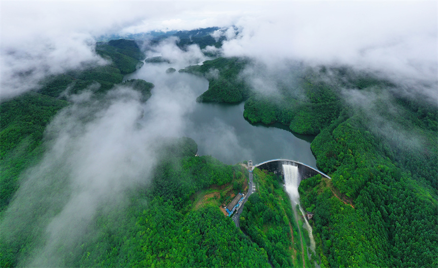 樂安縣龍潭水庫周邊的碳匯林郁郁蔥蔥。邱志超攝