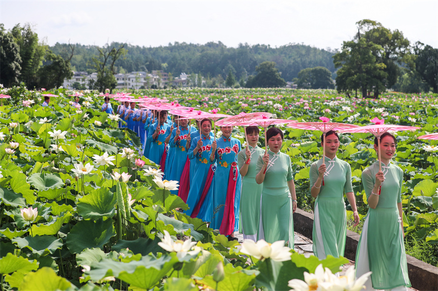 旗袍愛好者正在驛前古鎮進行旗袍走秀表演。 程孟玲攝