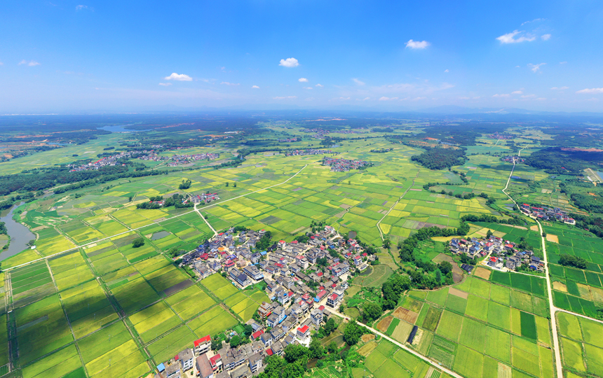 無人機鏡頭下的上高縣泗溪鎮官橋村美麗田園風光。陳旗海攝