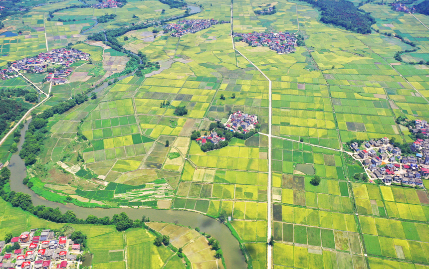 無人機鏡頭下的上高縣泗溪鎮官橋村美麗田園風光。陳旗海攝