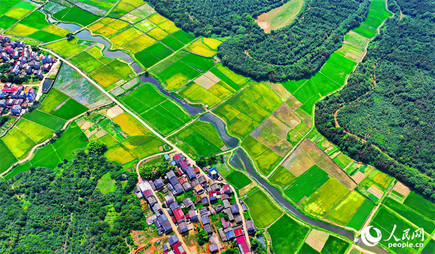 航拍豐城市石灘鎮裴家村，風景秀美如畫。人民網 朱海鵬攝