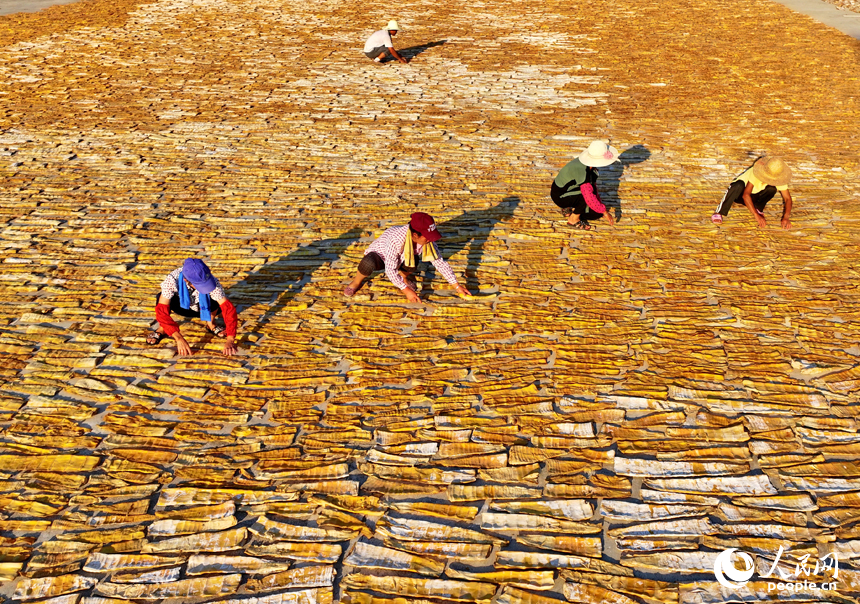 在樂安縣招攜村汗上村晾曬場，村民在翻曬筍干，供應市場。人民網 朱海鵬攝