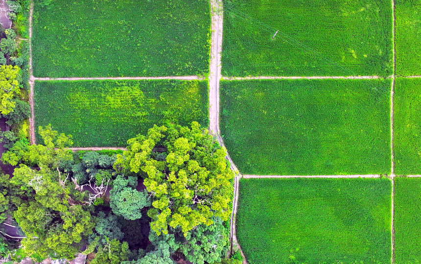 航拍宜豐縣黃墾鎮、潭山鎮、天寶鄉一帶，稻田、樓房、河道相映成景，宛如畫卷。何賤來攝