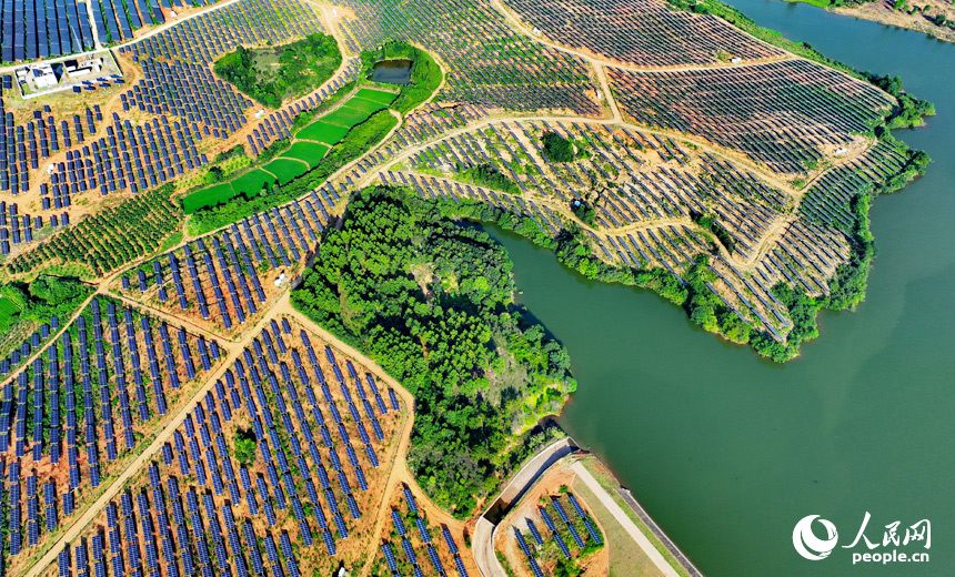崇仁縣農光互補發電站，連片的太陽能發電板如同藍色海洋，熠熠生輝。人民網 朱海鵬攝