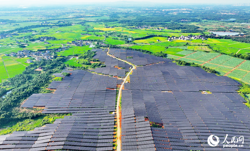 崇仁縣農光互補發電站，連片的太陽能發電板如同藍色海洋，熠熠生輝。人民網 朱海鵬攝