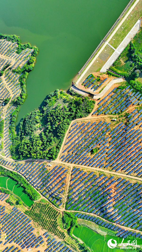 崇仁縣農光互補發電站，連片的太陽能發電板如同藍色海洋，熠熠生輝。人民網 朱海鵬攝