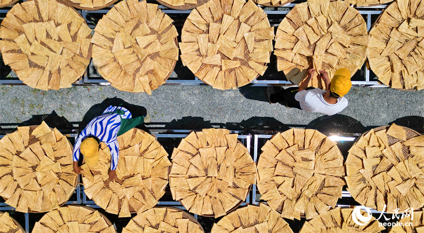 村民忙著晾曬手工腐竹。人民網 朱海鵬攝