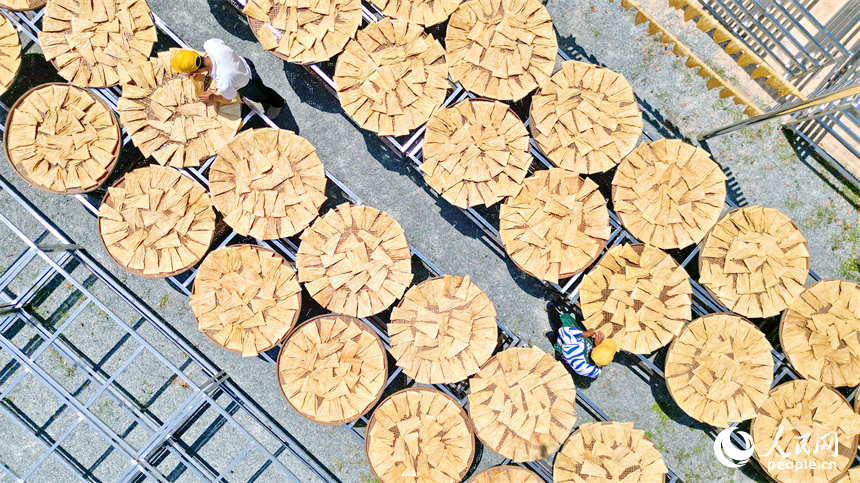 村民忙著晾曬手工腐竹。人民網 朱海鵬攝