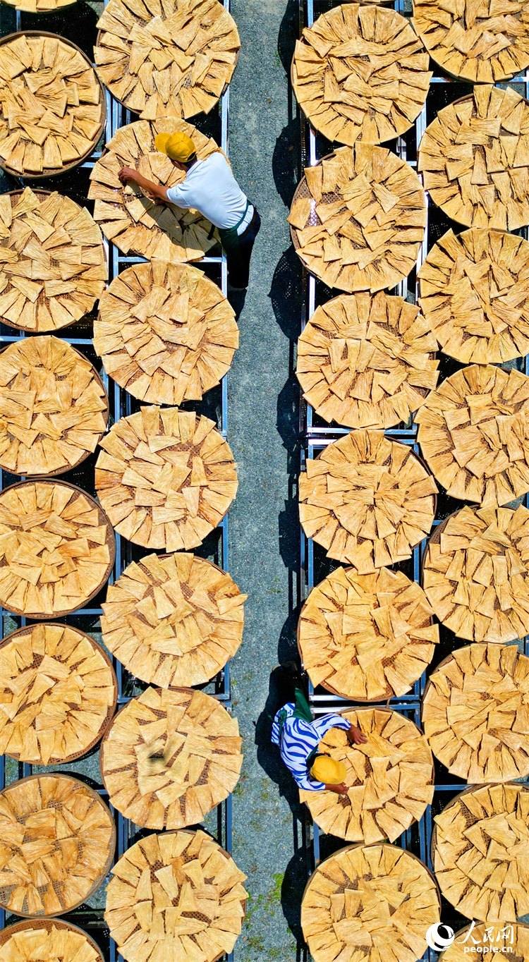 村民忙著晾曬手工腐竹。人民網 朱海鵬攝