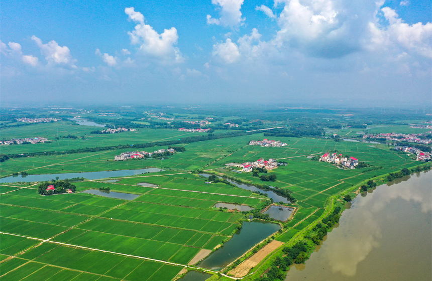 近日，無人機鏡頭下上高縣錦江鎮新華村美麗的鄉村景色。陳旗海攝
