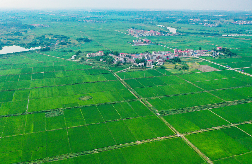 無人機鏡頭下上高縣泗溪鎮曾家村美麗的鄉村景色。陳旗海攝