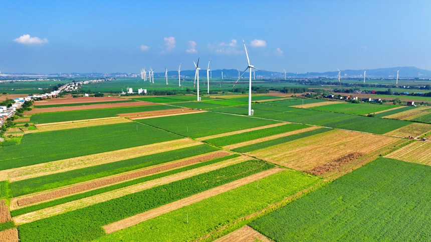 九江市柴桑區江洲風電場，48臺風力發電機組迎風旋轉。人民網 朱海鵬攝