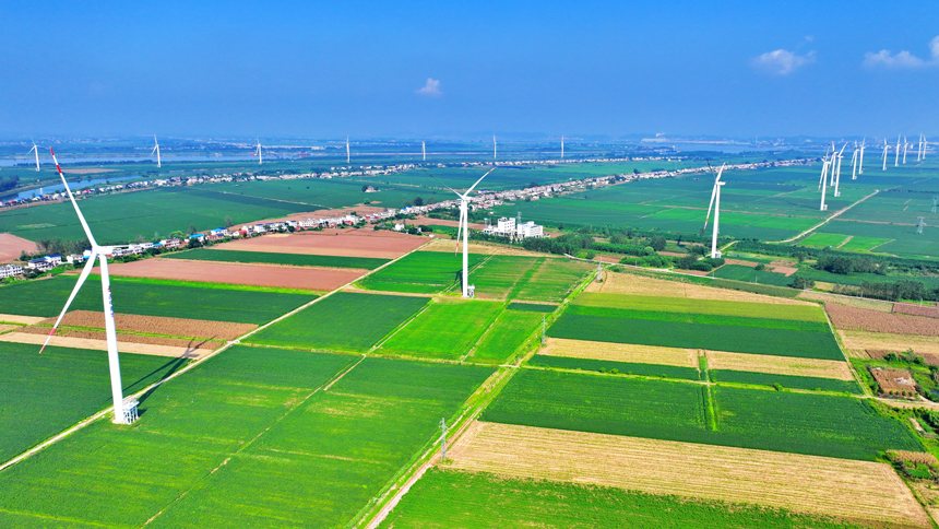 江西九江；風葉迎風轉 綠電源源來 (10)