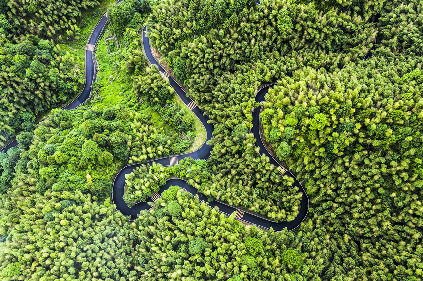 航拍鏡頭下，江西省吉安市井岡山神山村的通村公路在青山間蜿蜒。 王江舟攝
