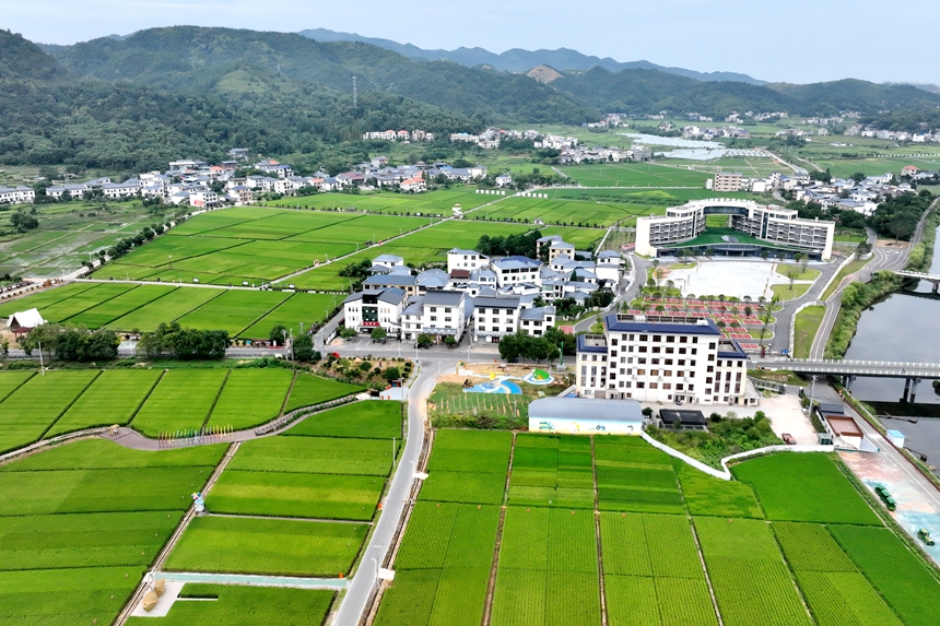 江西省萍鄉市湘東區麻山鎮汶泉村水稻制種基地的稻田景色（無人機照片）。李桂東攝