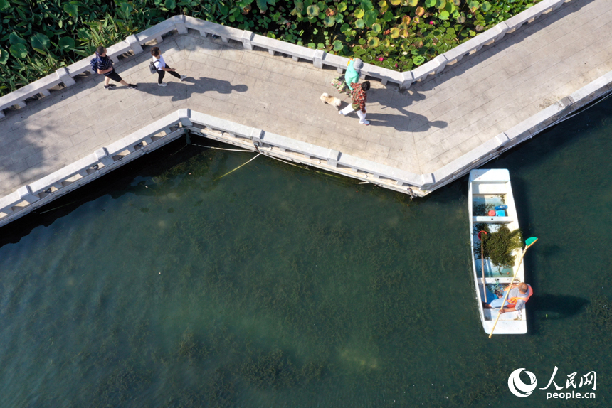 南昌市東湖區百花洲的東湖水面上，環衛工人駕船清理水面垃圾。 人民網記者 時雨攝